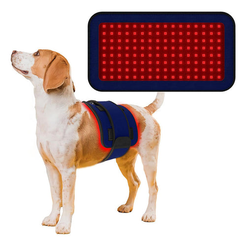 Pet Red Light Therapy Dog Coat