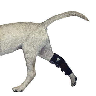 Petciety Leg Wrap