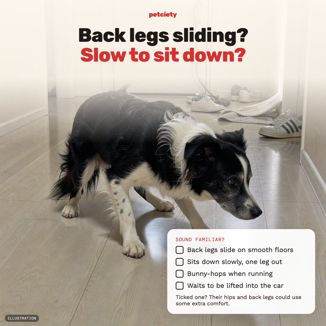 Petciety Hip + Leg Sleeve