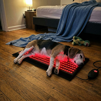 Petciety Red Light Mat