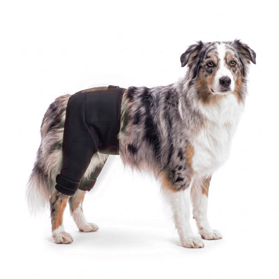 Petciety Hip + Leg Sleeve
