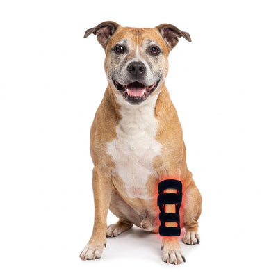 Petciety Leg Wrap