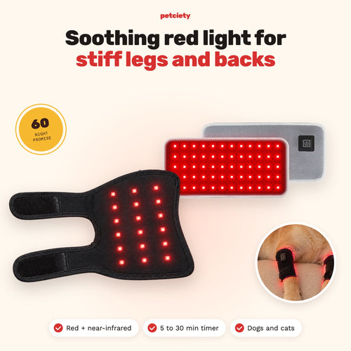 Petciety Comfort Kit: soothing red light for stiff legs and backs