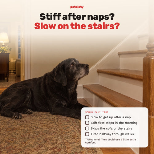 Stiff after naps? Slow on the stairs? Self-check