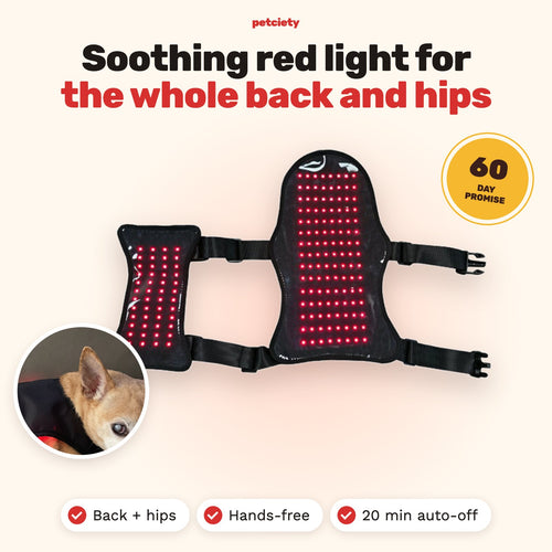 Petciety Full-Body Vest, soothing red light for the whole back and hips