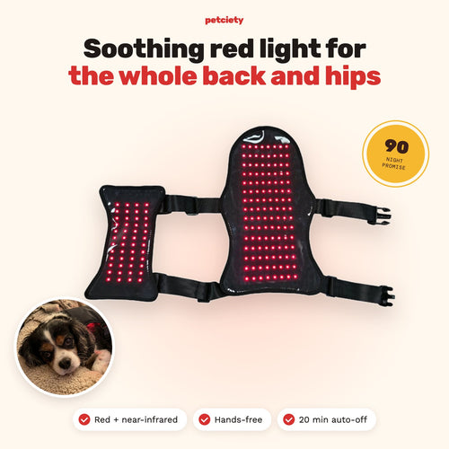 Petciety Full-Body Vest, soothing red light for the whole back and hips