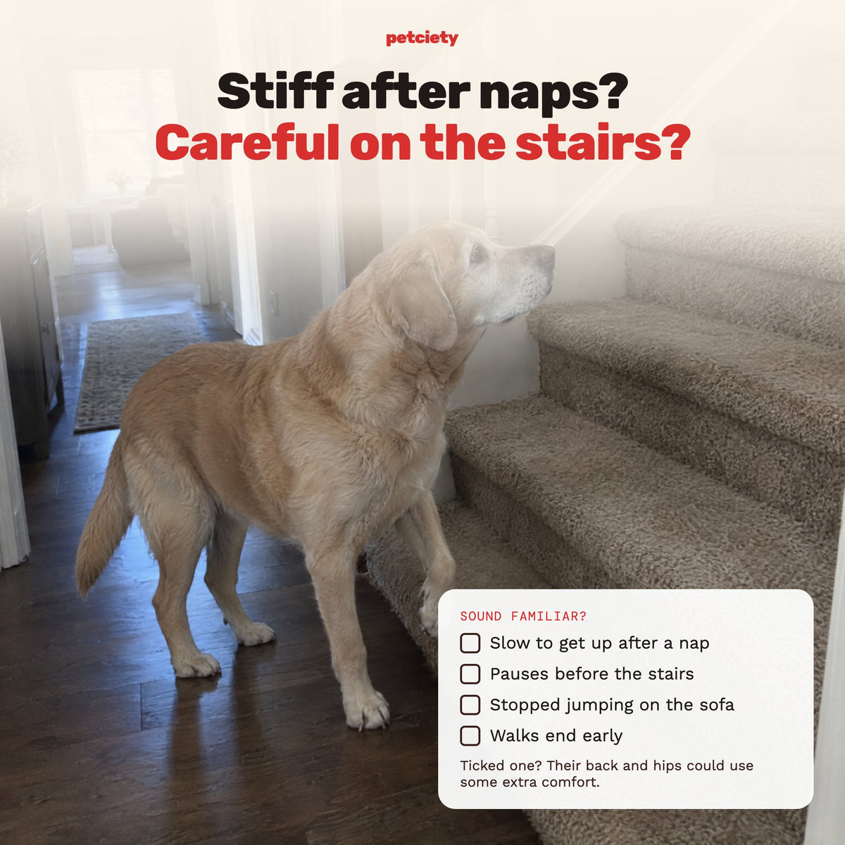 Stiff after naps, careful on the stairs