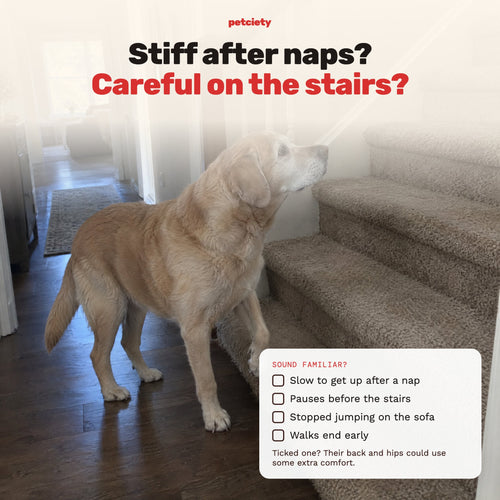Stiff after naps, careful on the stairs