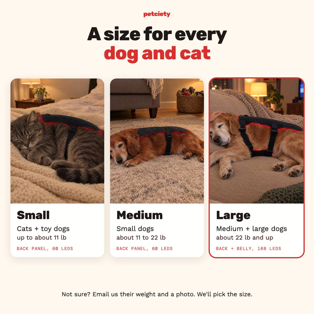 A size for every dog and cat