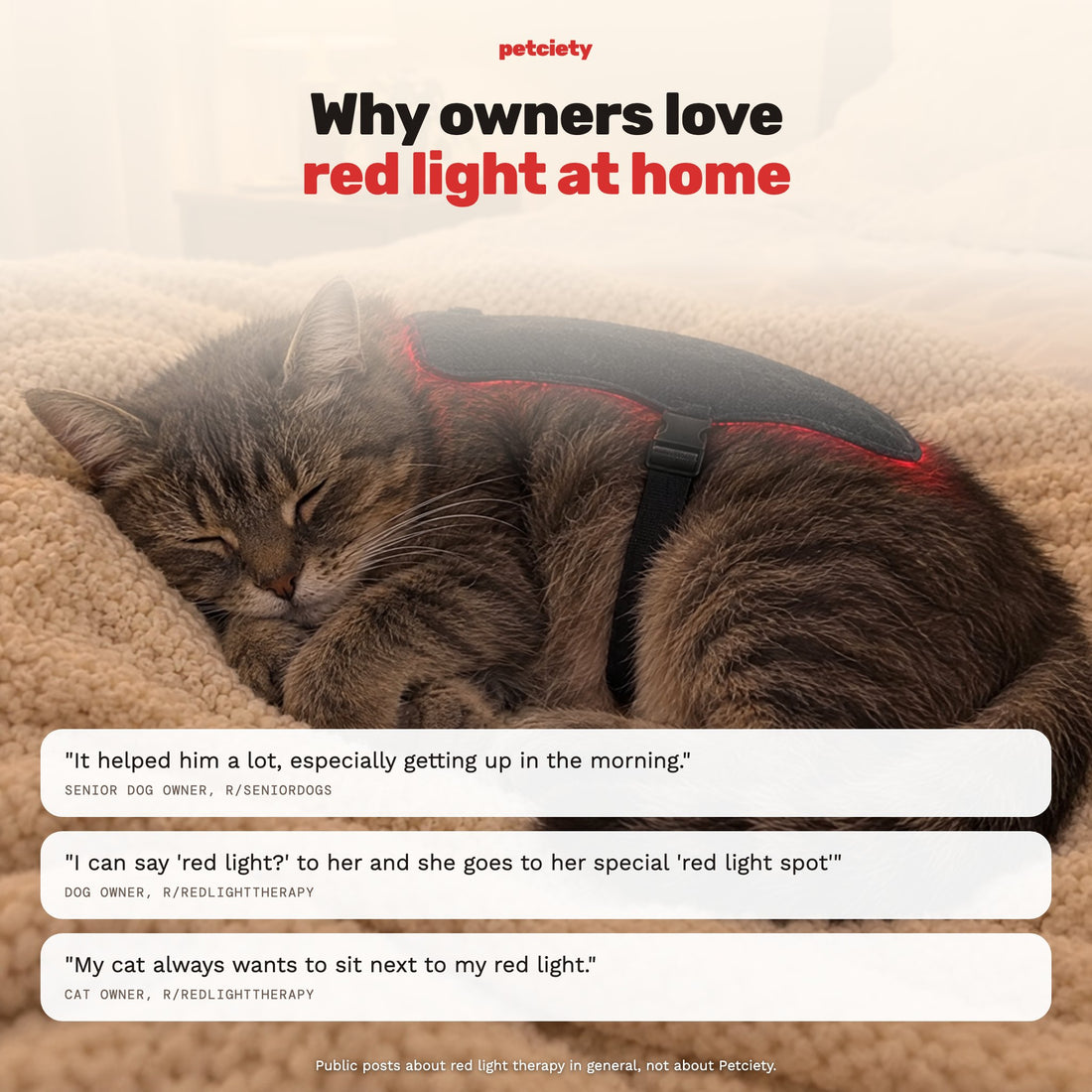 Why owners love red light at home